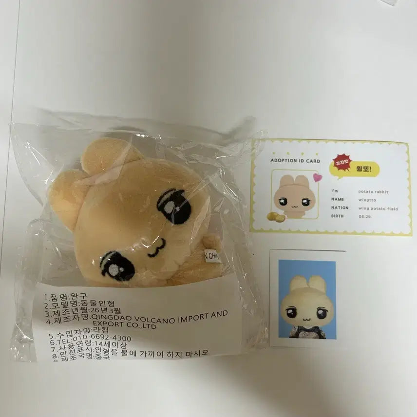 [BUNJANG] Park Ji Hoon Wingtto Doll Sealed / 박지훈 인형 윙또 미개봉 양도