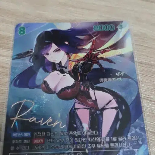 [BUNJANG] Nibel Arena Rayvan Royal Guard Suit Autograph / 니벨아레나 레이반 로야루가드 슈트 사인 팝니다