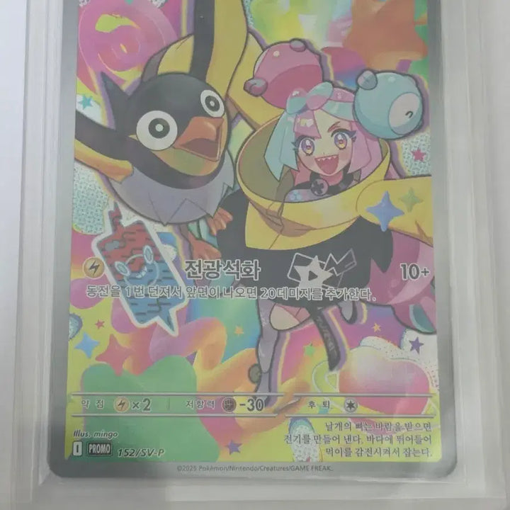 [BUNJANG] Pokemon Card - Moyama&