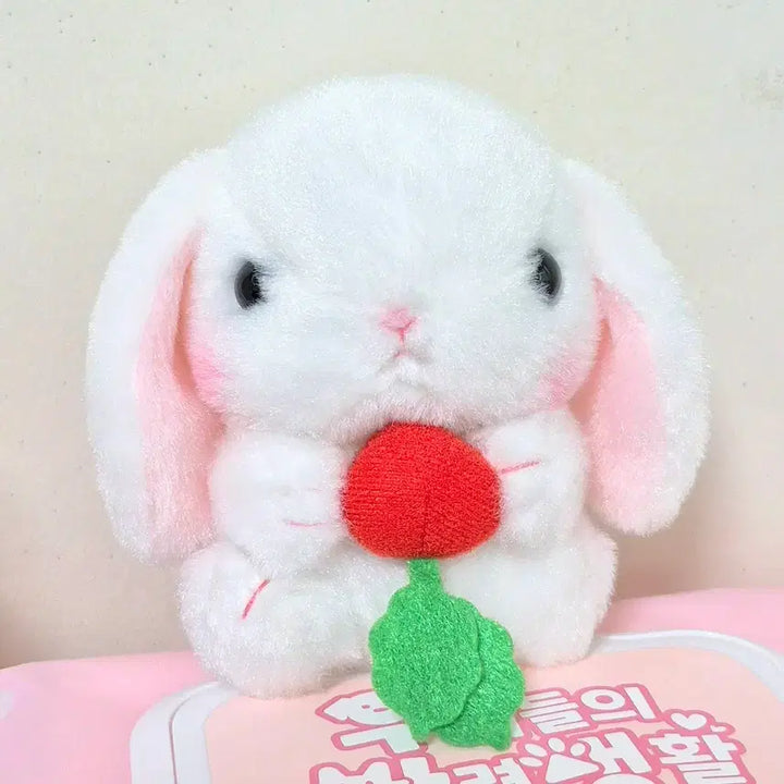 [BUNJANG] Amuse Poteusa Carrot White Lulupy Doll Keyring / 어뮤즈 아뮤즈 포테우사 홍당무 당근 화이트 롯삐 롯피 인형 키링