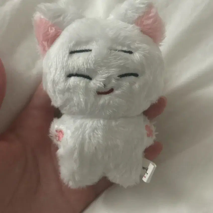 [BUNJANG] ENHYPEN Sunoo Korean Cotton Doll / 엔하이픈 김선우 한국폭 인형