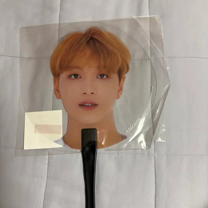 [BUNJANG] NCT DREAM Haechan Official Goods We Go Up Fan / 엔시티 드림 해찬 공식 굿즈 위고업 부채