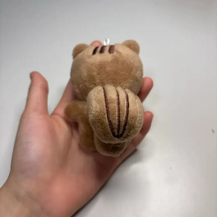 [BUNJANG] DAY6 Wonpil Pilramji Doll / 데이식스 원필 비공굿 인형 필람쥐 판매합니다