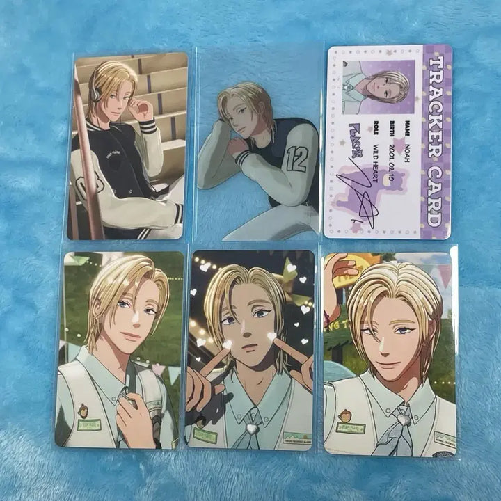 [BUNJANG] PLAVE Noah 2026 Signature "Flicky " Photocard / 플레이브 노아 2026 시그 플리키트 포카