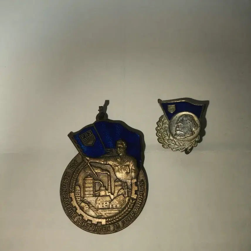 [BUNJANG] German Democratic Republic (East Germany) Five-Year Plan Medal / 독일 민주 공화국(동독) 5개년 계획 훈장