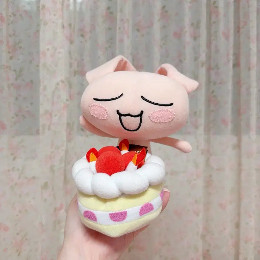 [BUNJANG] Tokodemo Issyo Jun Birthday Cake Plush / 도코데모잇쇼 준 생일케이크 인형