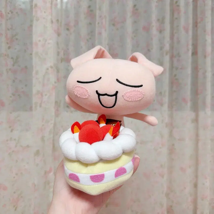 [BUNJANG] Tokodemo Issyo Jun Birthday Cake Plush / 도코데모잇쇼 준 생일케이크 인형