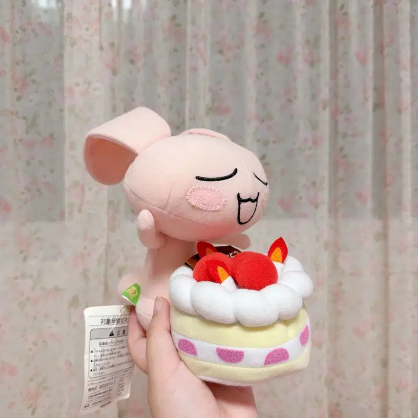 [BUNJANG] Tokodemo Issyo Jun Birthday Cake Plush / 도코데모잇쇼 준 생일케이크 인형