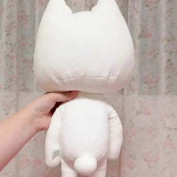 [BUNJANG] Torotaro Medium Plush Doll / 도코데모잇쇼 토로 중형 기본 인형