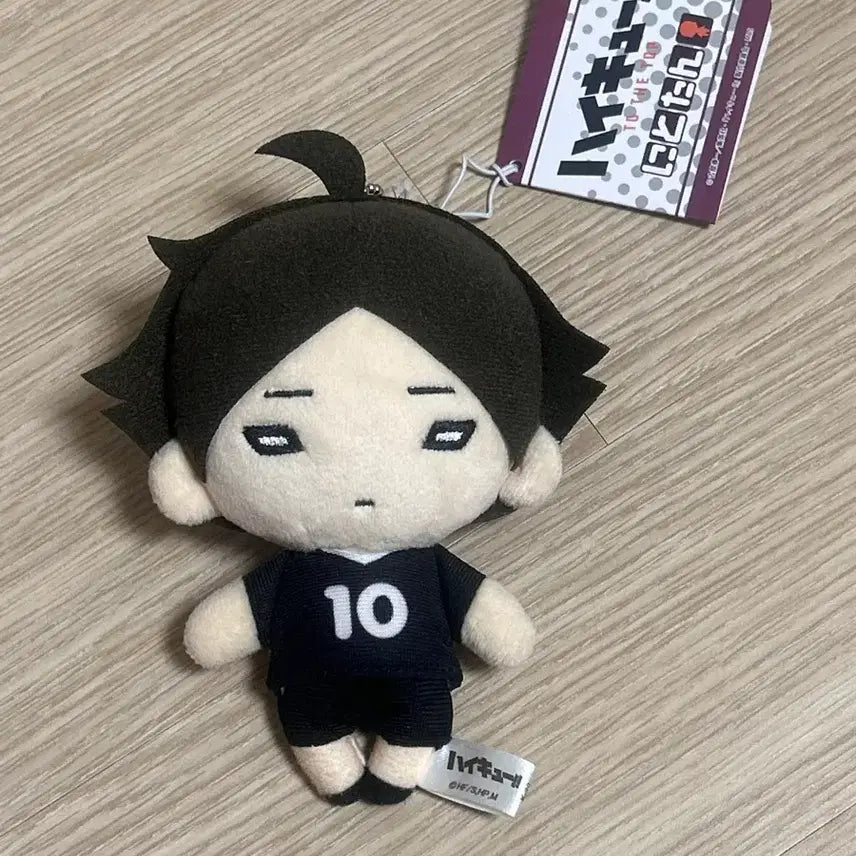 [BUNJANG] Haikyuu!! Sunarinataro Nitotan Plush Doll (Competition Uniform) / 하이큐 스나린타로 스나 니토탄 누이구루미 경기복 인형 굿즈
