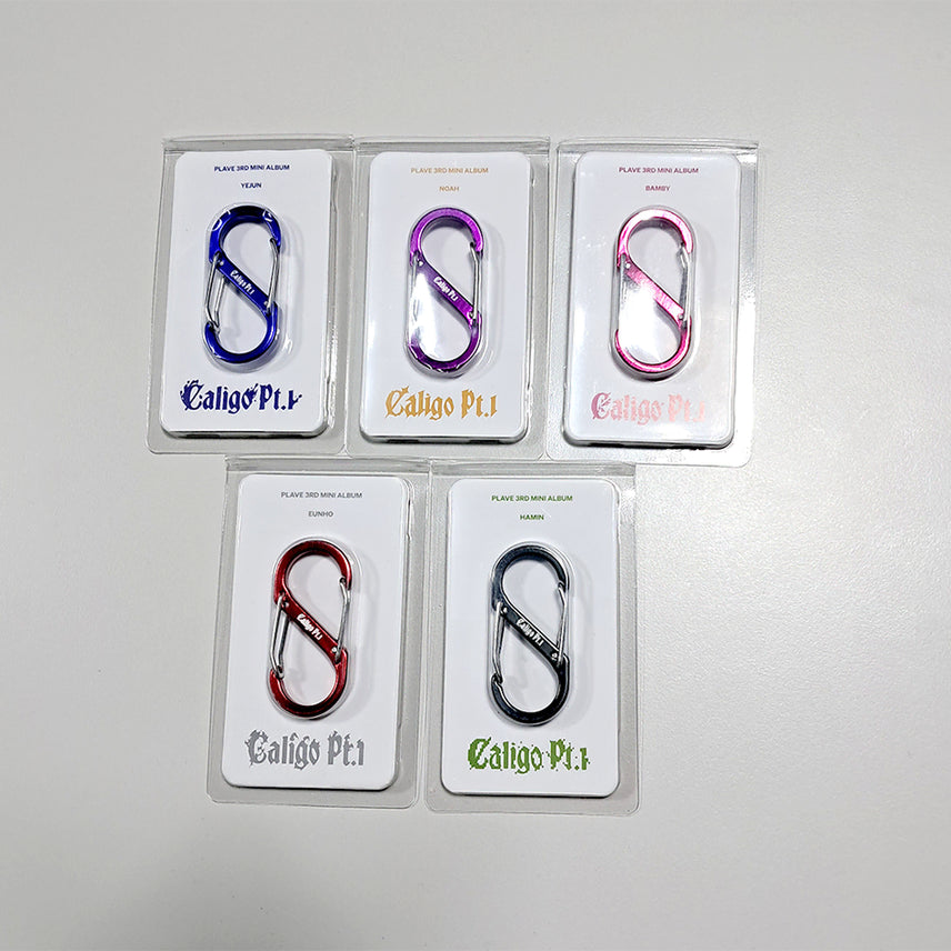 [BUNJANG] PLAVE Dash Positive Carabiner Set (All Members) / 플레이브 대쉬 푸지티브 카라비너 5종 (드볼)