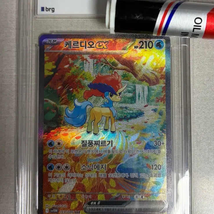 [BUNJANG] Pokemon Graded Card Keldeo SAR BRG10 / 포켓몬 등급카드 케르디오 sar brg10