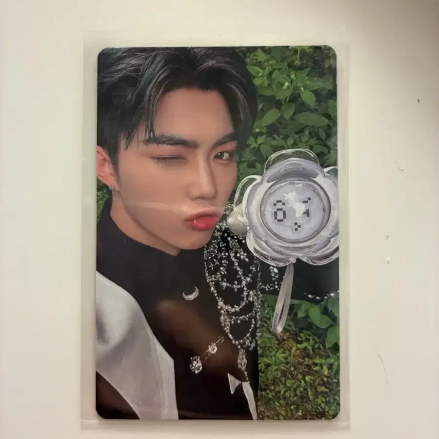 [BUNJANG] Park Gunwook Timeless World Photocard / 박건욱 포카