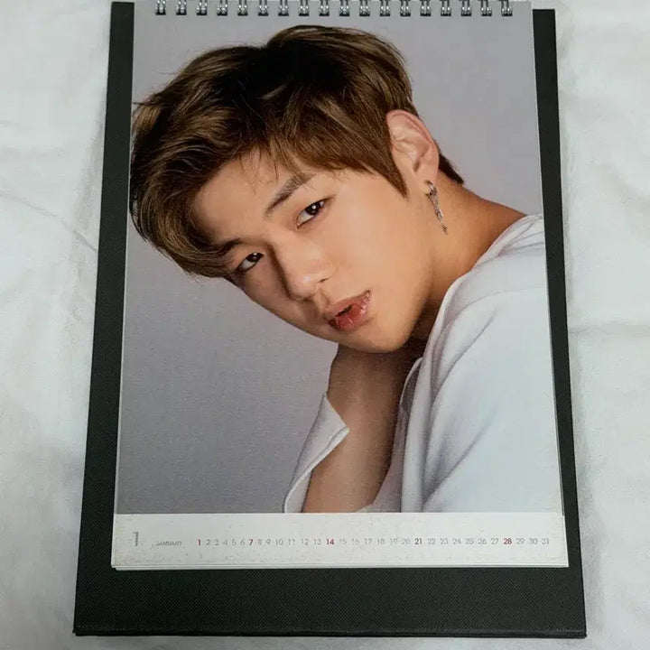 [BUNJANG] Wanna One 2018 Lotteria Collaboration Calendar / 워너원 달력