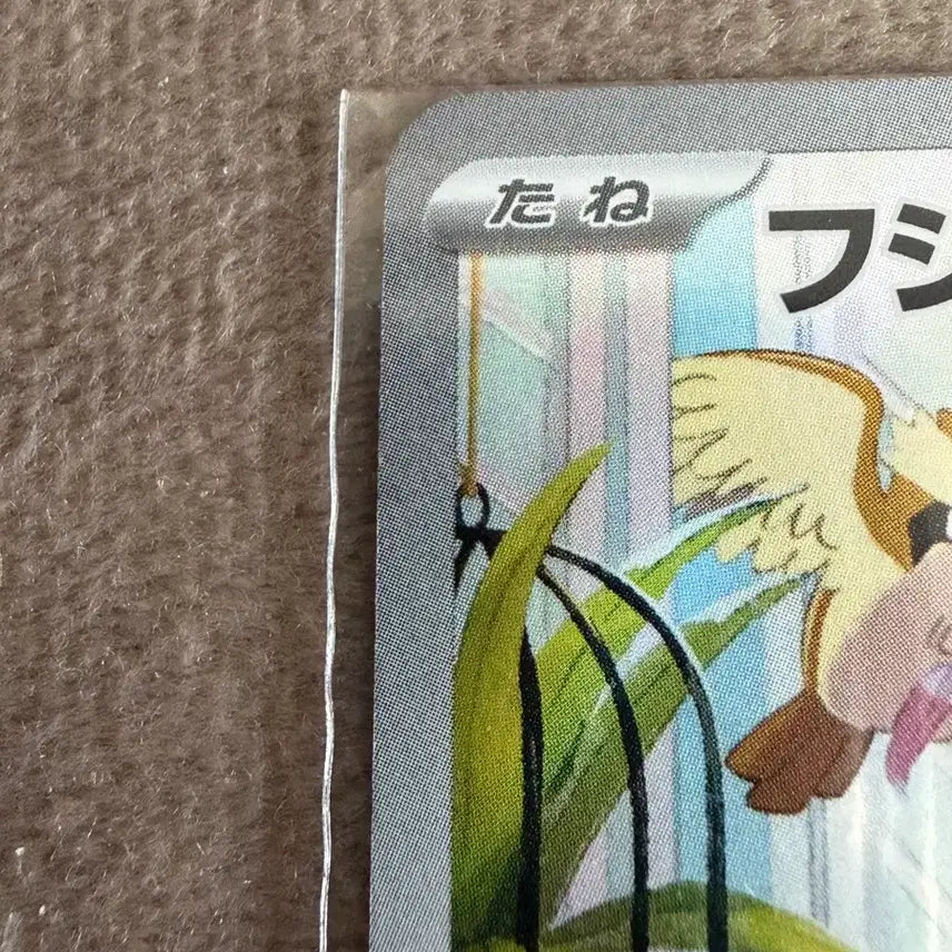 [BUNJANG] Pokemon Scarle &amp; Violet Edition Ivysaur Card (Japanese) / 포켓몬 이상해씨 스칼렛바이올렛 한정판 카드 (일판)