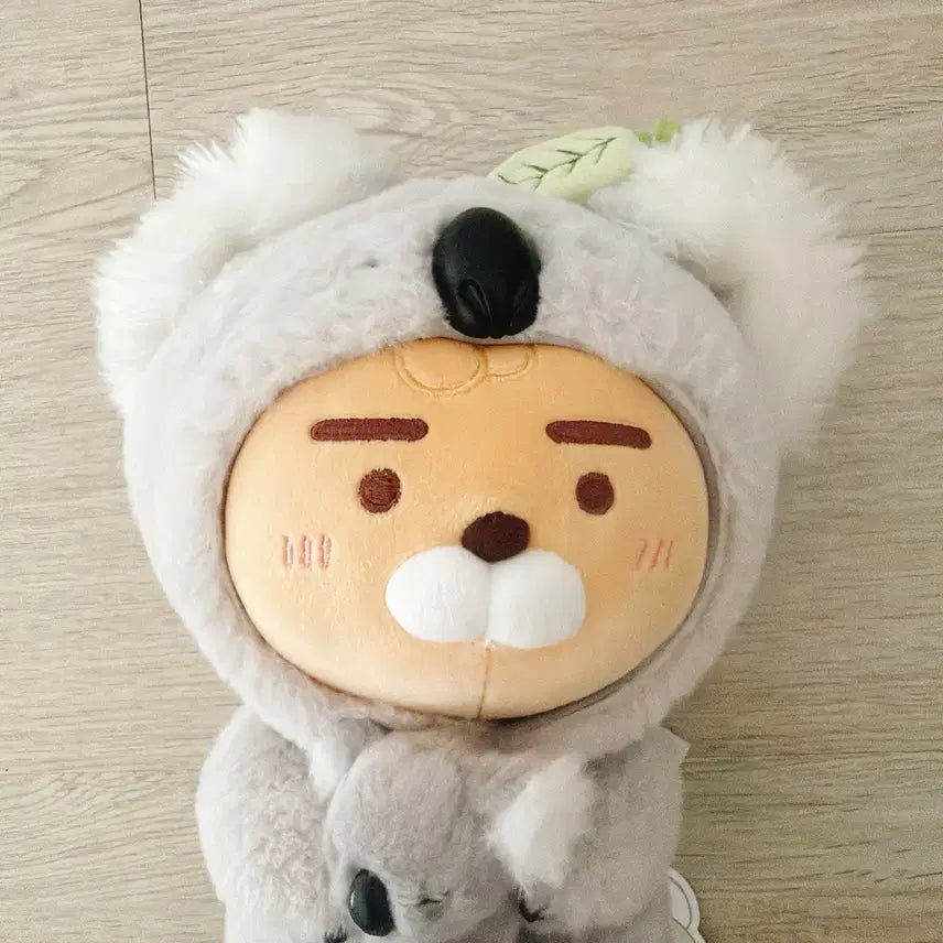 [BUNJANG] Kakao Friends FRIENDZOO Koala Doll (Little Ryan) / [택ㅇ/새상품] FRIENDZOO 코알라 인형 리틀라이언