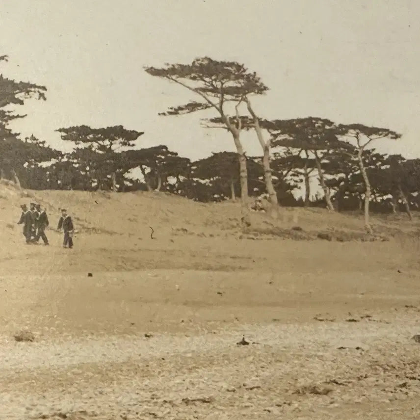 [BUNJANG] 1920s Miho-no-Matsubara Panorama Photograph - Historical Japanese Landmark / 1920년 - 일본 시즈오카현의 명승지 - 미호노마쓰바라 파노라마 사진