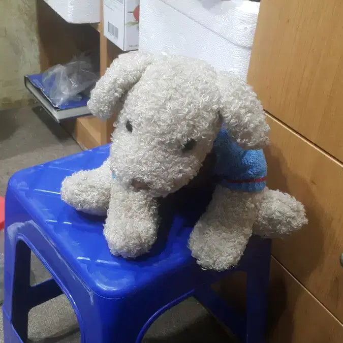 [BUNJANG] Gund Teddy Bear and Poodle Plush Set / 테디 베어와 푸들 인형