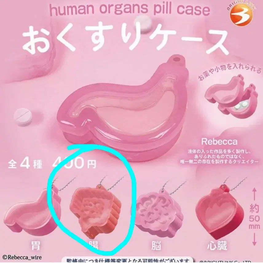 [BUNJANG] Human Organ Shaped Pill Case (Large Intestine) / 인체장기모양 알약케이스 가챠- 옵션:장 판매합다