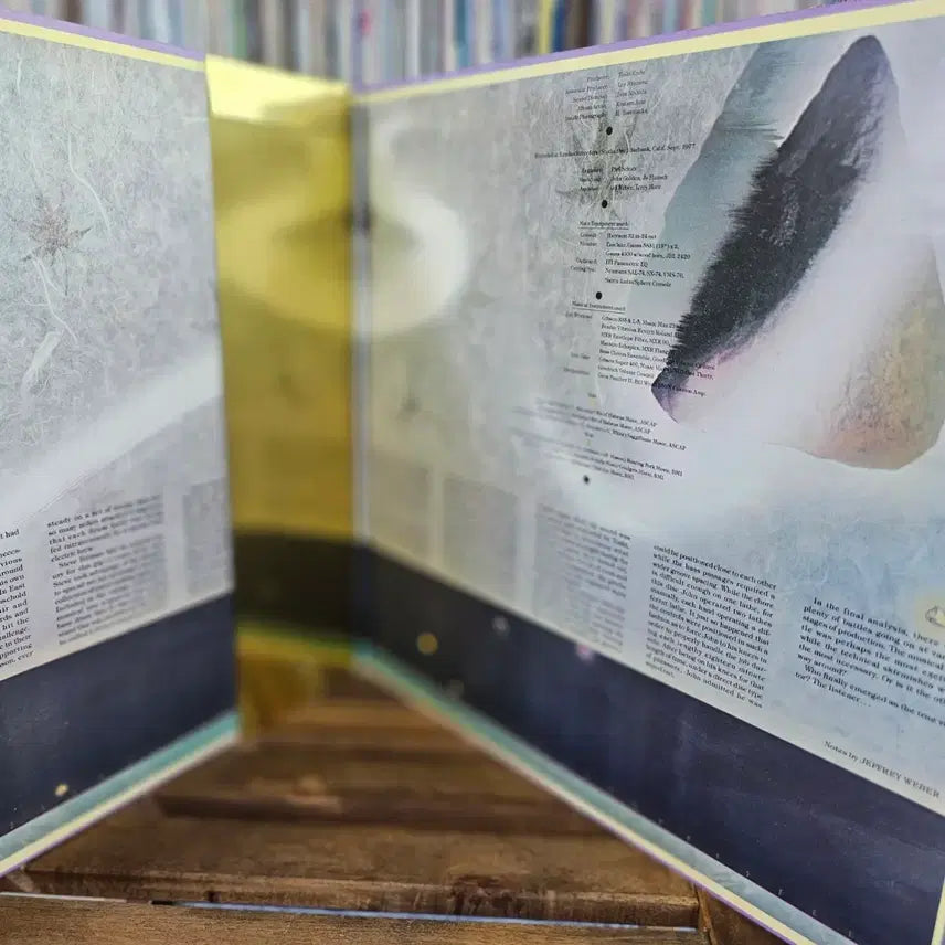 [BUNJANG] Lee Ritenour Gentle Thoughts Sugar Loaf Express LP / (미국 재즈 기타리스트 리 릿나워) Lee Ritenour LP