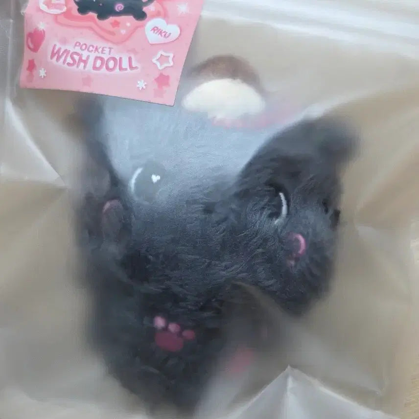 [BUNJANG] NCT WISH Riku Kuri Pocket Wish Doll (Sealed) / (미개봉) 엔시티위시 리쿠 쿠리 포켓위시돌