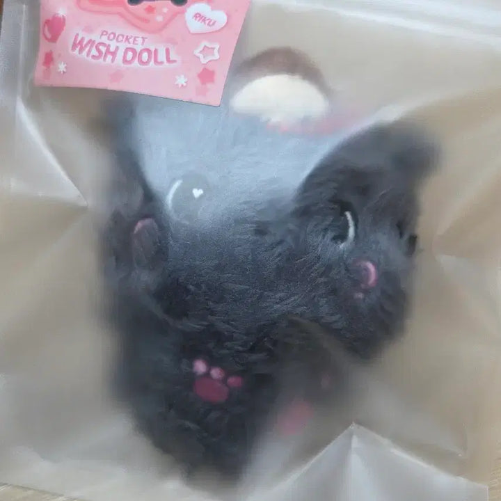 [BUNJANG] NCT WISH Riku Kuri Pocket Wish Doll (Sealed) / (미개봉) 엔시티위시 리쿠 쿠리 포켓위시돌