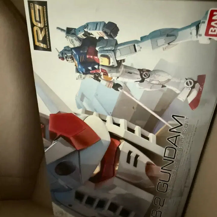 [BUNJANG] Bandai Expo Limited RG Mechanical Clear First Gundam / 반다이 엑스포 한정 rg 메카니컬 클리어 퍼스트 건담
