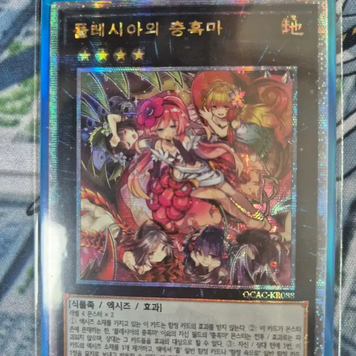 [BUNJANG] Yu-Gi-Oh! Archfiend of Tribulation Quarter Century Secret Rare / 유희왕 플레시아의 충혹마 쿼시크