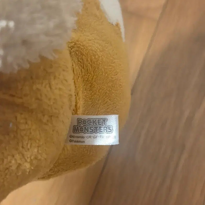 [BUNJANG] Pokemon Eevee All Star Collection Plush / 포켓몬 이브이 올스타 컬렉션 인형