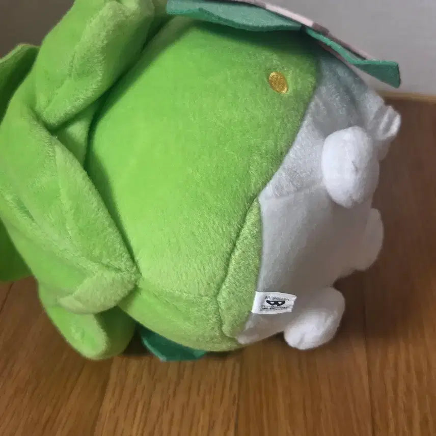 [BUNJANG] Pokemon Focus Shaymin Land Form Plush / 포켓몬 포커스 쉐이미 랜드폼 인형