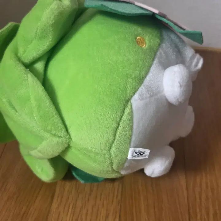 [BUNJANG] Pokemon Focus Shaymin Land Form Plush / 포켓몬 포커스 쉐이미 랜드폼 인형