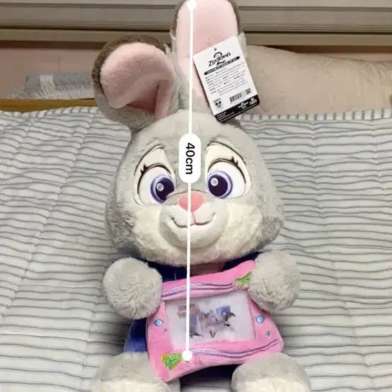 [BUNJANG] Zootopia Judy Hopps Plush Toy with Photo Pocket / 주토피아 주디 인형
