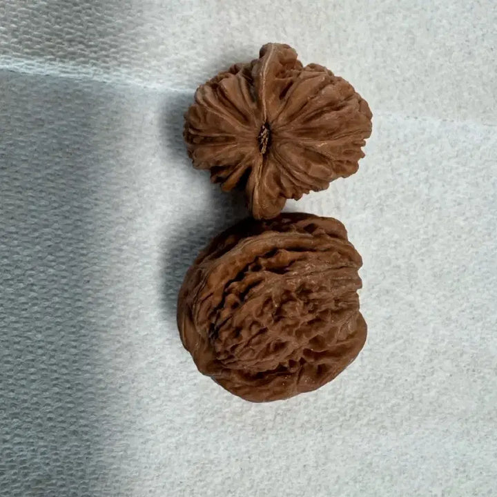 [BUNJANG] Natural Walnut Massage Balls (33-34mm) - Set of 2 / 할30%중 천연 자연 호두 2알 (33~34mm)지압 볼 가래 손마사지(새상품)