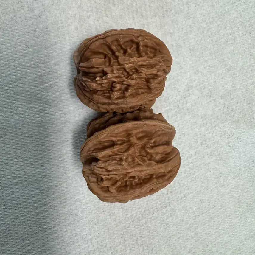 [BUNJANG] Natural Walnut Acupressure Balls (37-40mm) / 천연 자연 호두 2알(37~40mm) 지압 볼 가래 볼 손마지(새상품)