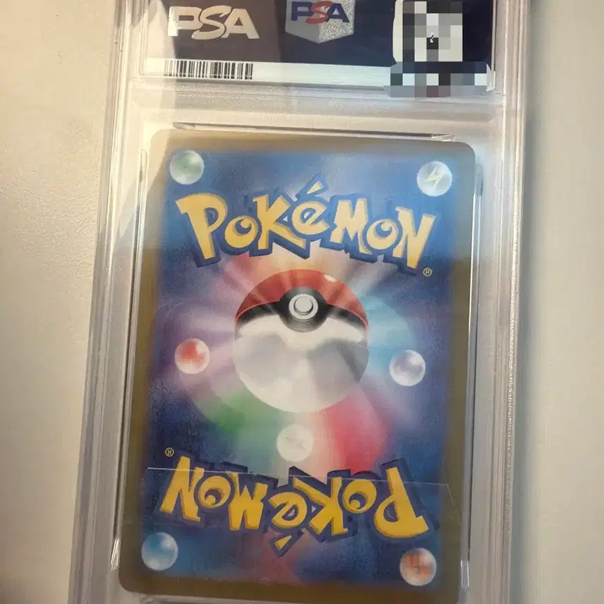 [BUNJANG] Pokémon &