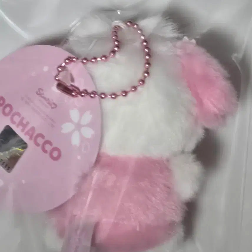 [BUNJANG] Sanrio Pochacco Cherry Blossom Keychain Doll / [새상품]산리오 벚꽃 사쿠라 포차코 키링 인형