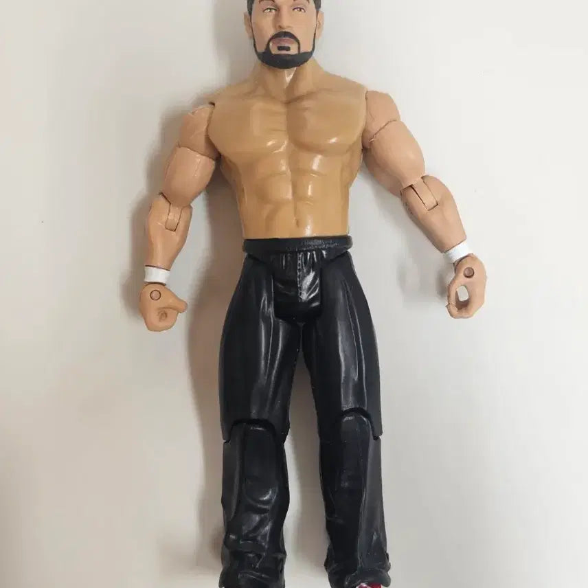 [BUNJANG] Jakks Pacific WWE Steve Blackman Wrestling Figure / WWE 잭스퍼시픽 스티브 블랙맨 레슬링 피규어