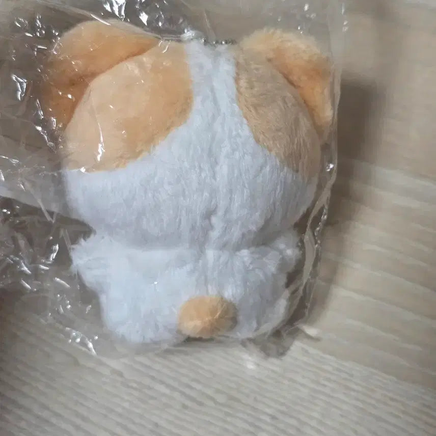 [BUNJANG] ENHYPEN Heeseung Evan Doll / 희스터 희승 에반 인형