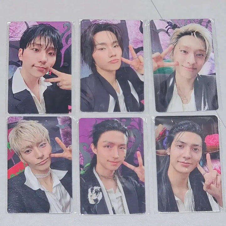 [BUNJANG] AKZIZ Fanmeeting MD Photocard &amp; Trading Card Bundle Set / 엑디즈 팬미팅 엠디포카+트레카 일괄