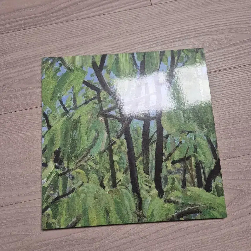 [BUNJANG] Jannabi Sogokjip Vol. 2 LP Black Vinyl / 잔나비 소곡집2 lp 블랙