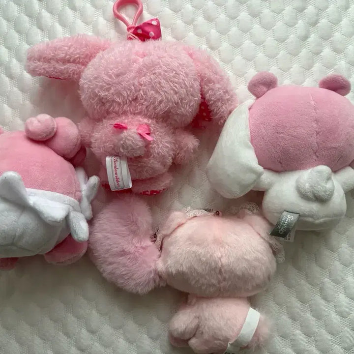 [BUNJANG] Pokemon Fit Happyness Charmy Kitty Bonbon Ribbons Cinnamoroll Bundle Set / 인형 일괄 판매 포켓몬핏 해피너스 챠미키티 봉봉리본 시나모롤