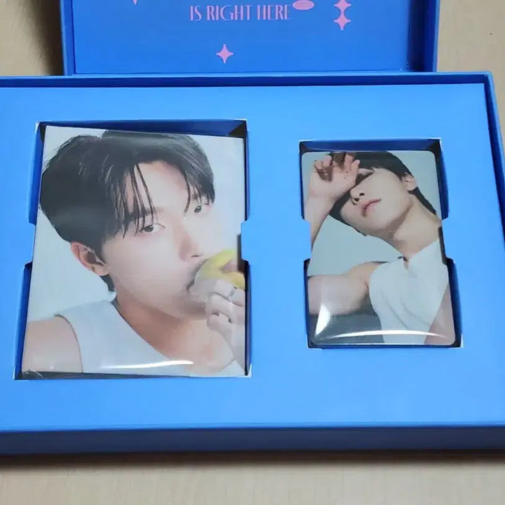 [BUNJANG] SEVENTEEN Carat Ver. Dear Ver. Dino Photocard / 세븐틴 캐럿반 디어반 디노