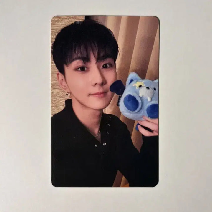 [BUNJANG] ENHYPEN Jungwon The Sin Verish Weverse Japan Universal Lucky Draw Set / 엔하이픈 정원 더씬베니쉬 위버스 재팬 유니버셜 럭키드로우 3장 풀셋