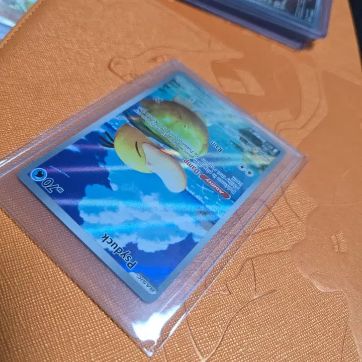 [BUNJANG] North American Edition Psyduck Pokemon Card / 북미판 고라파덕 IR 판매합니다