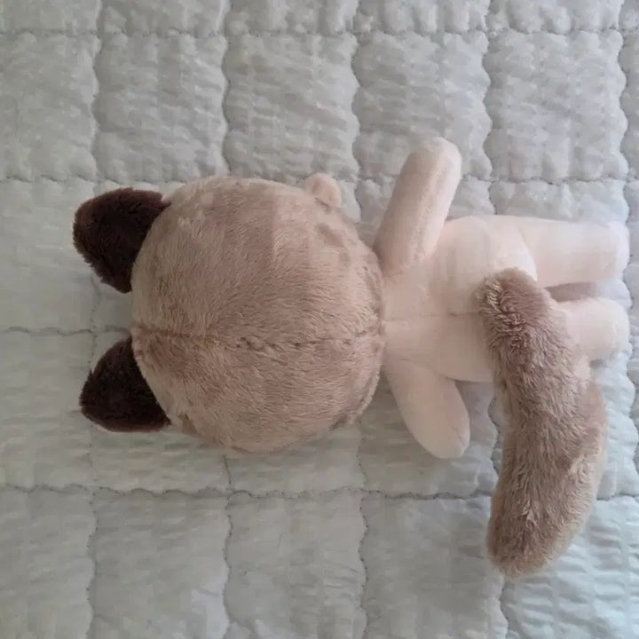 [BUNJANG] 15cm Unofficial Cotton Doll Jam Toast / 15cm 무속성 솜인형 잼토스트 솜깅