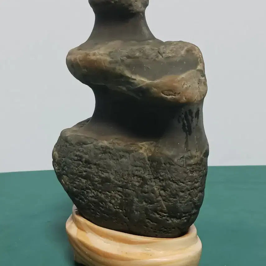 [BUNJANG] Unique Natural Stone Sculpture (Fossilized Wood) / 수석(변화석)