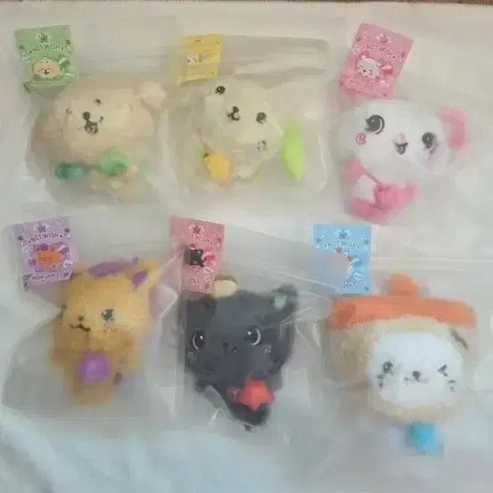 [BUNJANG] NCT WISH Sicheng Crowny Bear Cury Bubble Cat Dengtreeber Ryoryong Pangi Bundle Set / 가격인하))엔시티위시 위시돌 시오닝 쿠리 버블냥 댕트리버 룐룐 팡이 일괄