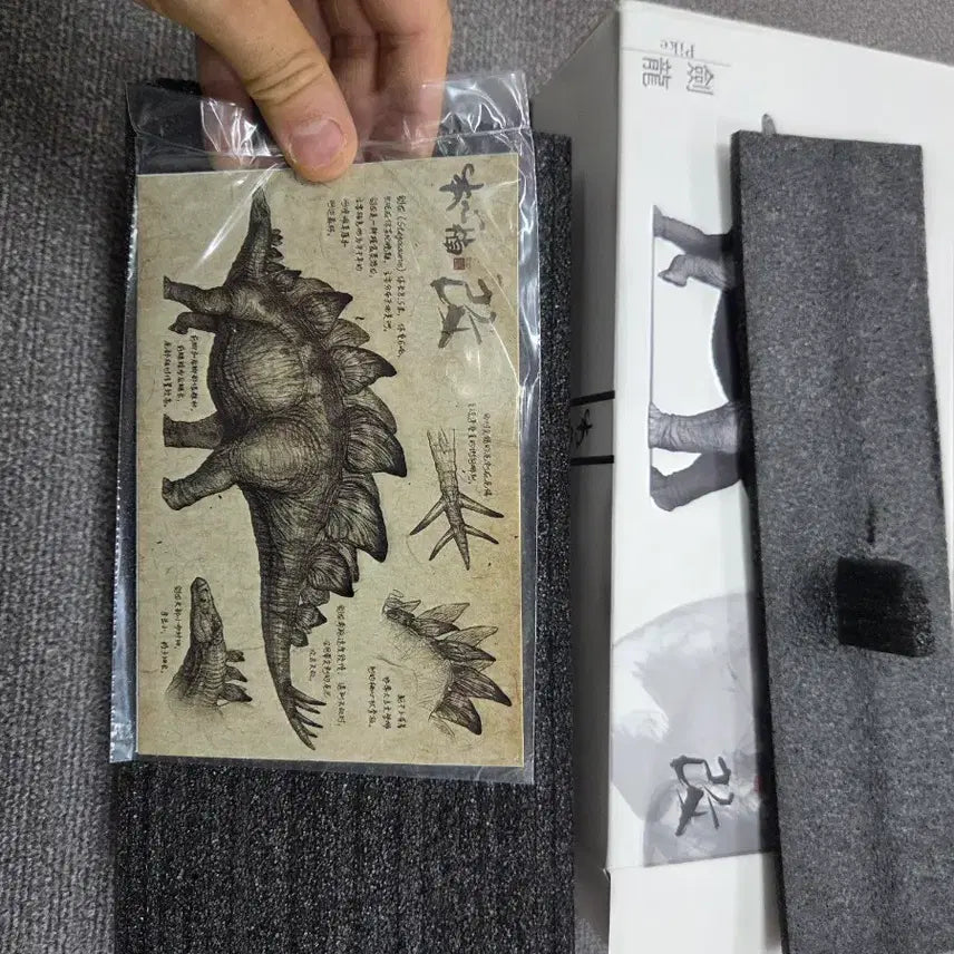 [BUNJANG] Bonsimnamgae Stegosaurus 1/35 Statue (Red) / 본심남개 스테고사우루스 1/35 스테츄 171491(Red)