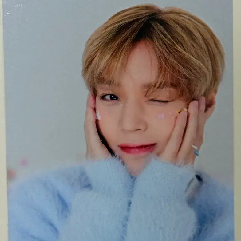 [BUNJANG] Park Jihoon 2025 Birthday Cafe Photocard / 박지훈 2025 생일카페 포카