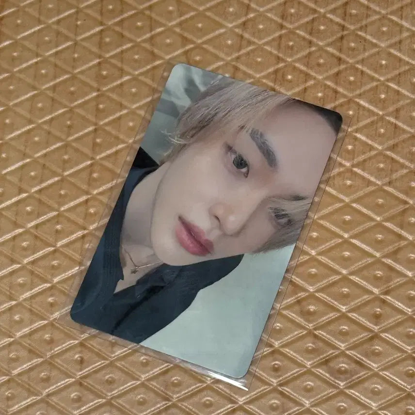 [BUNJANG] RIIZE Tokyo Dome MD Wonbin Photocard POB / 라이즈 도쿄돔 엠디 6000엔 6천엔 특전 포카 원빈 포카